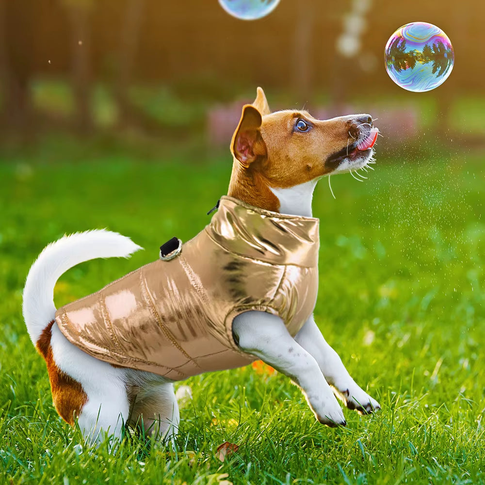 Clothes for Small Dogs Waterproof Dog Clothes Puppy Pet Jacket Winter Warm Vest Dog Coat Clothing for Chihuahua French Bulldog